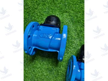 Đồng hồ nước Itron Woltex DN100