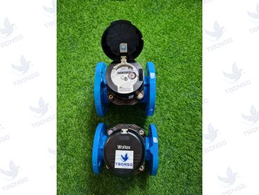 Đồng hồ nước Itron Woltex DN100