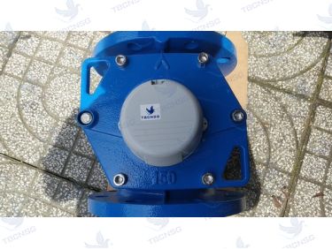 Đồng hồ nước Itron Woltex M