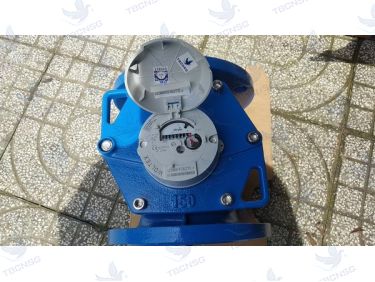 Đồng hồ nước Itron Woltex M