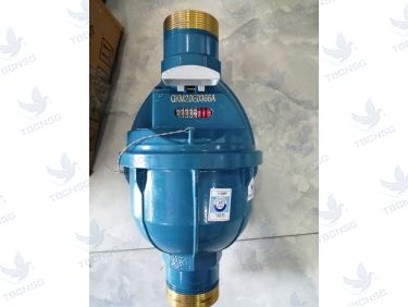 Đồng Hồ Nước Kent Cấp C Lắp Đứng DN15 (Phi 21mm)