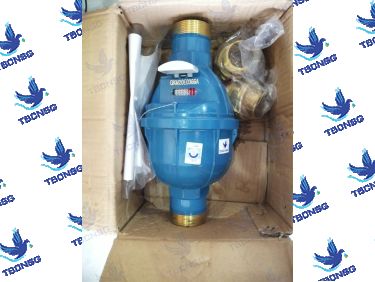 Đồng Hồ Nước Kent Cấp C Lắp Đứng DN15 (Phi 21mm)