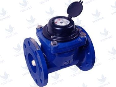 Đồng hồ nước Klepsan kiểu woltman