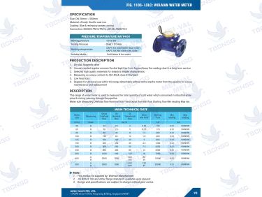 Đồng hồ nước Meiji mặt bích Fig.1103