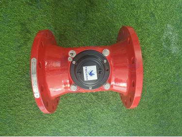 Đồng hồ nước nóng Flowtech LXLH