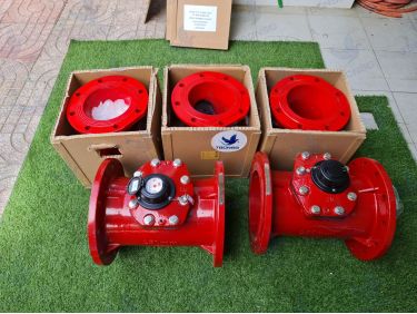 Đồng hồ nước nóng Flowtech LXLH