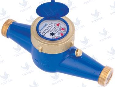 Đồng hồ nước sạch Klepsan KVS