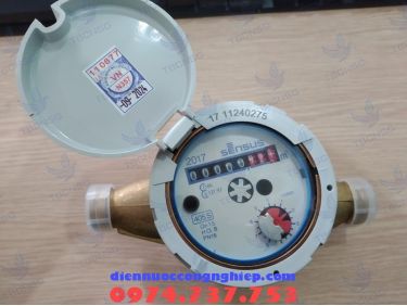 Đồng hồ nước Sensus 405S nối ren