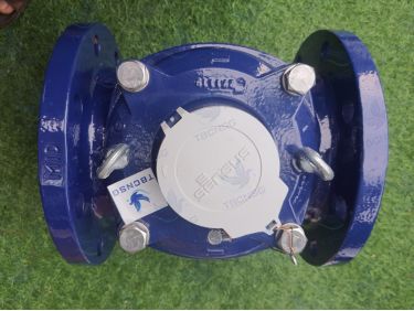 Đồng hồ nước Sensus MeiStream Plus 150