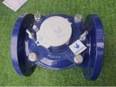 Đồng hồ nước Sensus MeiStream Plus 150