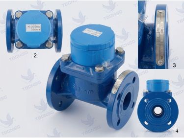 Đồng hồ nước thải Woteck LXXG