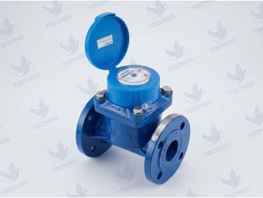 Đồng hồ nước thải Woteck LXXG