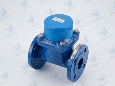 Đồng hồ nước thải Woteck LXXG