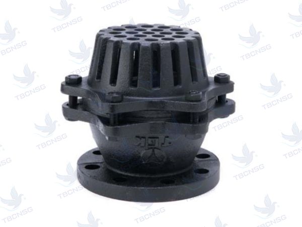 Foot valve, rọ bơm, rọ hút TGK Hàn Quốc