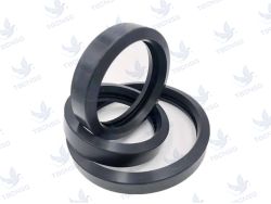 Gioăng Khớp Nối Rãnh (Grooved Gasket)..