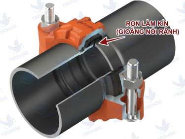 Gioăng Khớp Nối Rãnh (Grooved Gasket)