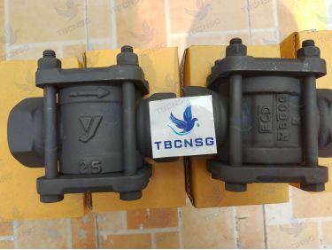Kính soi dòng chảy Yoshitake SB-1S và SB-1F