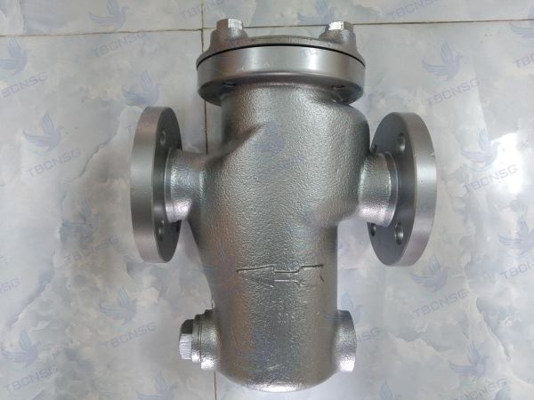 Lọc T inox (T Strainer)