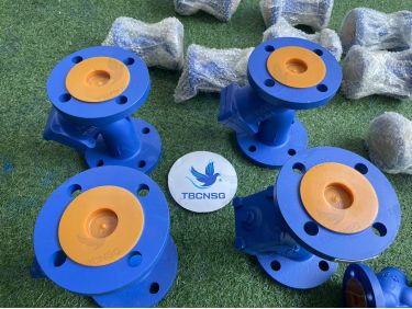Lọc Y Joeun Thân Gang GC25 Mặt Bích