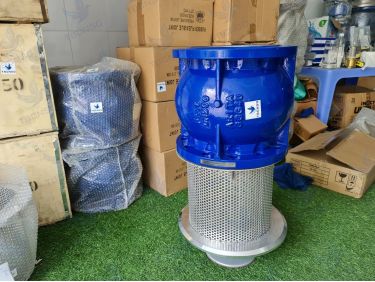 Rọ bơm Arita AFV-FE thân gang PN16