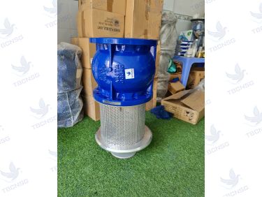 Rọ bơm Arita AFV-FE thân gang PN16