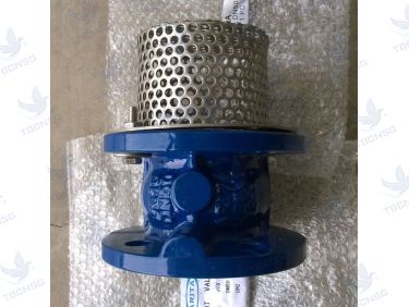 Sản phẩmRọ bơm Arita AFV-FE thân gang PN16