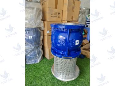 Rọ bơm Arita AFV-FE thân gang PN16