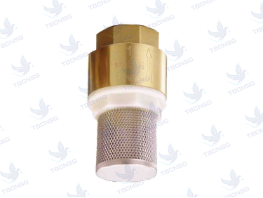 Rọ bơm Arita ARF-1014SE(F1) thần đồng, lưới inox, nối ren
