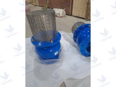 Rọ Bơm ARV AFV-400 Gang Lưới Inox DN50-DN300