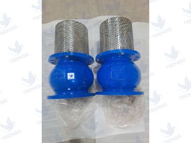 Rọ Bơm ARV AFV-400 Gang Lưới Inox DN50-DN300
