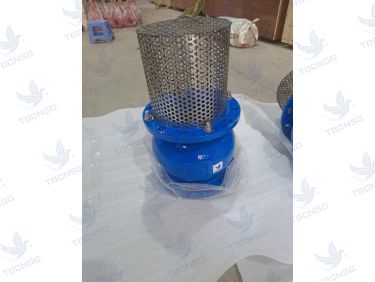 Rọ Bơm ARV AFV-400 Gang Lưới Inox DN50-DN300