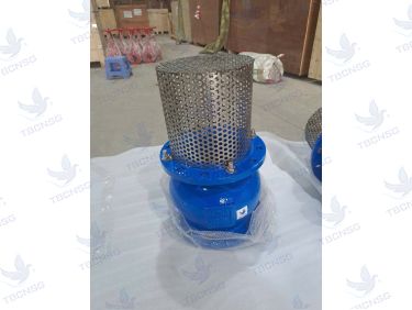 Rọ Bơm ARV AFV-400 Gang Lưới Inox DN50-DN300
