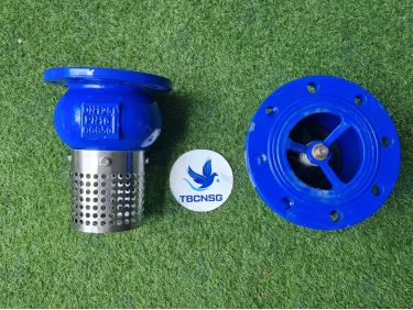 Rọ Bơm ARV AFV-400 Gang Lưới Inox DN50-DN300