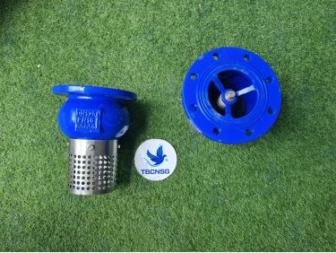 Rọ Bơm ARV AFV-400 Gang Lưới Inox DN50-DN300