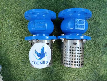 Rọ Bơm ARV AFV-400 Gang Lưới Inox DN50-DN300
