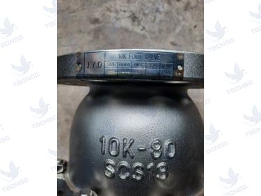 Rọ bơm Joeun inox 304 JIS10K 
