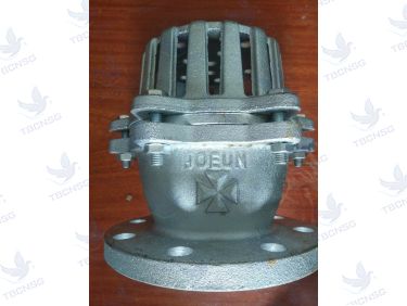 Rọ bơm Joeun thân gang JIS10K