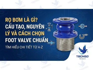 Rọ bơm là gì? Cấu tạo, nguyên lý và cách chọn Foot Valve chuẩn