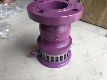 Rọ bơm SB, foot valve SB