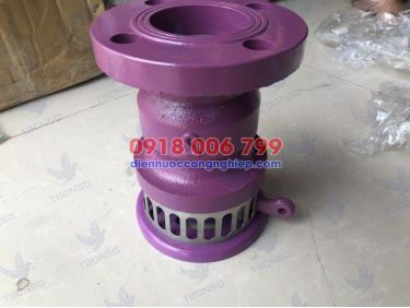 Rọ bơm SB, foot valve SB