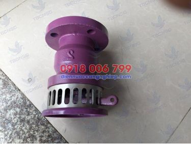 Rọ bơm SB, foot valve SB