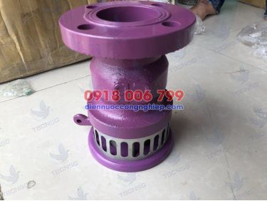 Rọ bơm SB, foot valve SB
