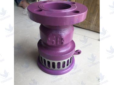 Rọ bơm SB, foot valve SB