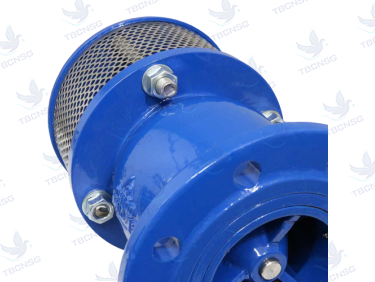 Rọ bơm Shinyi gang dẻo mặt bích PN10/PN16
