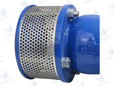 Rọ bơm Shinyi gang dẻo mặt bích PN10/PN16