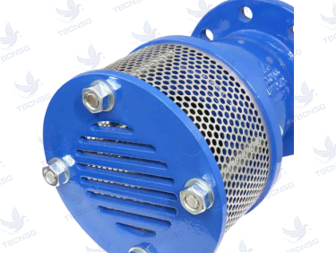 Rọ bơm Shinyi gang dẻo mặt bích PN10/PN16