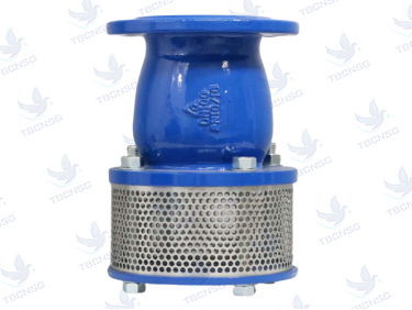 Rọ bơm Shinyi gang dẻo mặt bích PN10/PN16