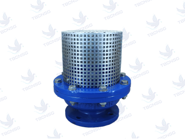 Rọ bơm Tayfur (foot valve)