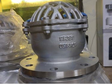 Rọ Bơm Wonil WSFT-1 thân inox SSC13