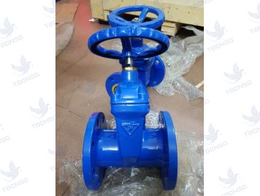 So sánh van cổng Wonil và van cổng Samwoo Hàn Quốc: Nên chọn loại nào?